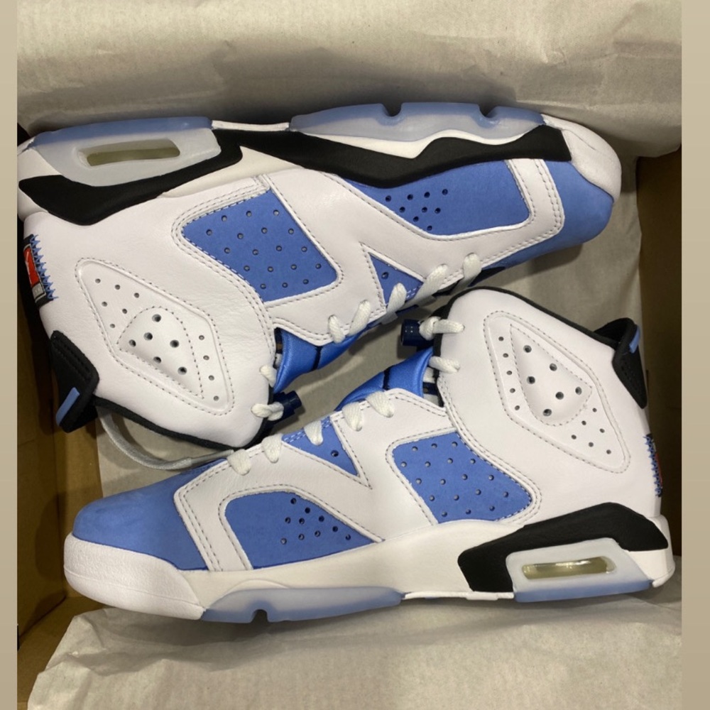 Jordan 6 UNC